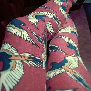 Lularoe nwt OS leggings macaw
